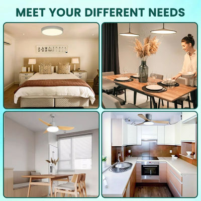 ERP Rosh LED Modules 5CCT 12W/18W/24W DIP Switch Ceiling Light Fan With Witch Power Substitui módulo LED