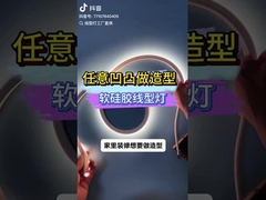 Faixa de luz de néon flexível