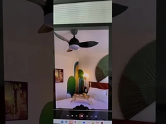 luz de ventilador de teto led boa qualidade mais vendido